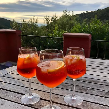 Casa Vermella Hébergement de vacances Sorède